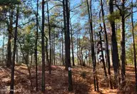 433 Thimbleberry Drive, Vass, NC 28394 — lot in Woodlake, Vass, NC, photo 2 of 4: As Seen From the Road