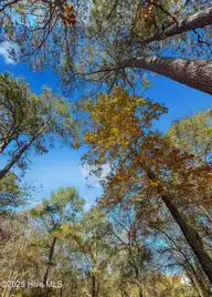 167 River Ridge Drive, Wallace, NC 28466 — waterfront lot in River Landing, Wallace, NC, photo 15 of 44