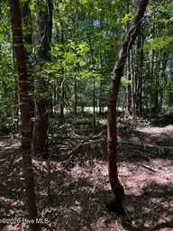 Lot 1 Dan Road, Robbins, NC 27325 — lot, Robbins, NC, photo 12 of 20