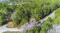 1823 Grissett Road SW, Supply, NC 28462 — lot, Supply, NC, photo 8 of 31: mls-DJI_0060