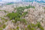 Lot 4 Leaman Road, Robbins, NC 27325 — lot, Robbins, NC, photo 2 of 7: DJI_20260225085349_0062_D-1A