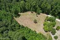 00 Old Chinquapin Road, Beulaville, NC 28518 — lot, Beulaville, NC, photo 18 of 41