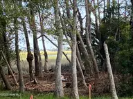 3263 29 & 29a Marsh View Drive SW, Supply, NC 28462 — waterfront lot in Lockwood Folly, Supply, NC, photo 9 of 55: lot to left of markers