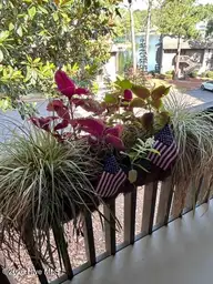 250 Sugar Gum Lane # 252, Pinehurst, NC 28374 — 3-bedroom condo in Lakeview Condos, Pinehurst, NC, photo 15 of 18: balcony plant