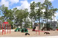 217 Paddle Court, Wilmington, NC 28412 — 3-bedroom home in Riverlights, Wilmington, NC, photo 23 of 25: Playground 2