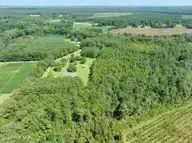 000 S Wisteria Lane, Willard, NC 28478 — lot, Willard, NC, photo 4 of 10