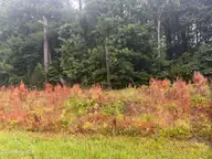 000 Richlands Highway, Jacksonville, NC 28540 — lot, Jacksonville, NC, photo 7 of 8