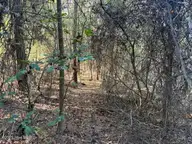 0 Knight Way SE, Winnabow, NC 28479 — lot, Winnabow, NC, photo 5 of 15: IMG_1383
