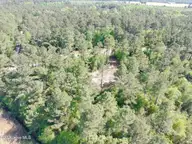 1827 Lightwood Bridge Road, Wallace, NC 28466 — lot, Wallace, NC, photo 4 of 12: PTSC_1020