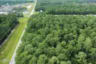 1750 TRACT 5 GJ Norris N Carolina Hwy 58, Peletier, NC 28584 — lot, Peletier, NC, photo 16 of 26: 11.9 Acres