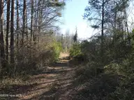 1715 E Old Spring Hope Road, Nashville, NC 27856 — lot, Nashville, NC, photo 18 of 47: SH MLS 17