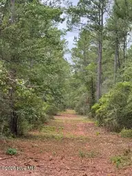 0 1 Nc Highway 210 Road, Currie, NC 28435 — lot, Currie, NC, photo 6 of 10