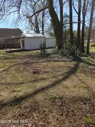 604 Hines Avenue, Kinston, NC 28504 — 3-bedroom home, Kinston, NC, photo 16 of 16: Yard view