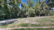 219 Willowbrook Drive, Pikeville, NC 27863 — 3-bedroom home in Willowbrook, Pikeville, NC, photo 23 of 27: Back Yard