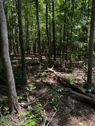 Lot 1 Dan Road, Robbins, NC 27325 — lot, Robbins, NC, photo 8 of 20