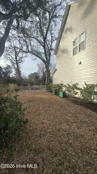 1425 Eco Circle, Wilmington, NC 28409 — 3-bedroom home in Deer Crossing, Wilmington, NC, photo 9 of 31: Beautiful Trees and nature surrounds