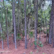 109 405 Haddington Drive, Pinehurst, NC 28374 — lot in Forest Creek, Pinehurst, NC, photo 9 of 12: IMG_5392
