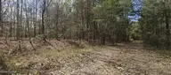 Lot 4 Leaman Road, Robbins, NC 27325 — lot, Robbins, NC, photo 7 of 7: leaman rd 3