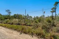 166 Fulcher Landing Drive, Stacy, NC 28581 — waterfront lot, Stacy, NC, photo 14 of 22: Waterfront vacant lot in Stacy
