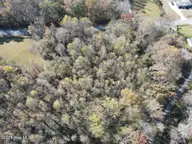 Lot 1 Alton Phillips Road, Kinston, NC 28504 — lot, Kinston, NC, photo 3 of 6: Looking West