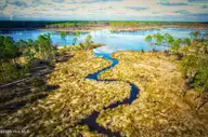 203 Paradox Point Drive, Aurora, NC 27806 — lot in Windsong III, Aurora, NC, photo 12 of 14: 203 Paradox Point Drive, Aurora, NC