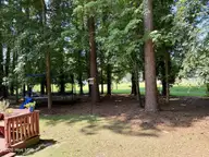 105 Norman Court, New Bern, NC 28560 — 3-bedroom home in Carolina Pines, New Bern, NC, photo 3 of 8: Backyard trees
