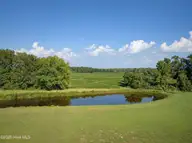 5515 River Buck Road, Spring Hope, NC 27882 — 3-bedroom home in River Dew, Spring Hope, NC, photo 20 of 38: DJI_20260903162344_0011_D