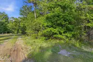 Tr3 E Dunn Street, Sneads Ferry, NC 28460 — lot in Wildroots, Sneads Ferry, NC, photo 11 of 25: e dunn st 00022