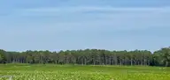 Lot 3 3 Us 17 N, Washington, NC 27889 — lot, Washington, NC, photo 2 of 4