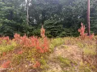 000 Richlands Highway, Jacksonville, NC 28540 — lot, Jacksonville, NC, photo 6 of 8