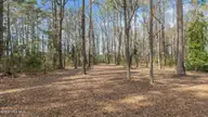 16 Winfield Lane, Pinetown, NC 27865 — lot in Winfield Estates, Pinetown, NC, photo 3 of 21: 5AC277B3-6447-4EFF-BE55-5F9CDF6838EF