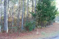 145 Heron Drive, Havelock, NC 28532 — waterfront lot in Godfreys Creek Estates, Havelock, NC, photo 8 of 19: Street Side of Lot