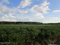 0 4 Bluff Point Road, Elizabeth City, NC 27909 — lot, Elizabeth City, NC, photo 5 of 7: IMG_9342