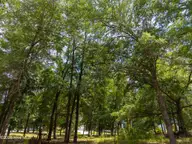 3627 208 White Cliffs Drive, Castle Hayne, NC 28429 — waterfront lot in River Bluffs, Castle Hayne, NC, photo 11 of 46