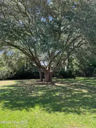 112 Pettiford Road, Peletier, NC 28584 — 3-bedroom waterfront manufactured home in Pettiford Point, Peletier, NC, photo 3 of 19: tree