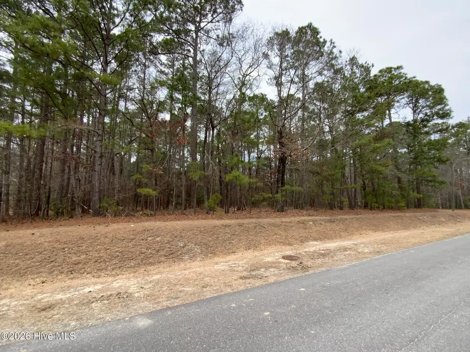 101 Long Leaf Lane, Goldsboro, NC 27534 — lot in Village of Walnut Creek, Goldsboro, NC, photo 1 of 3: IMG_6433