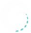 OctoActive