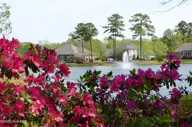 526 57 Lindgrove Place SW, Ocean Isle Beach, NC 28469 — lot in Ocean Ridge Plantation, Ocean Isle Beach, NC, photo 13 of 14: ORP fountain and azaleas