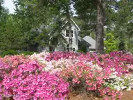 526 57 Lindgrove Place SW, Ocean Isle Beach, NC 28469 — lot in Ocean Ridge Plantation, Ocean Isle Beach, NC, photo 9 of 14: IMG_0745