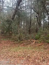 103 38 Dogwood Lane, Sneads Ferry, NC 28460 — lot, Sneads Ferry, NC, photo 4 of 6: IMG_3810