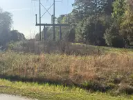 0 Pet Lane, Jacksonville, NC 28540 — lot, Jacksonville, NC, photo 4 of 7: IMG_6943